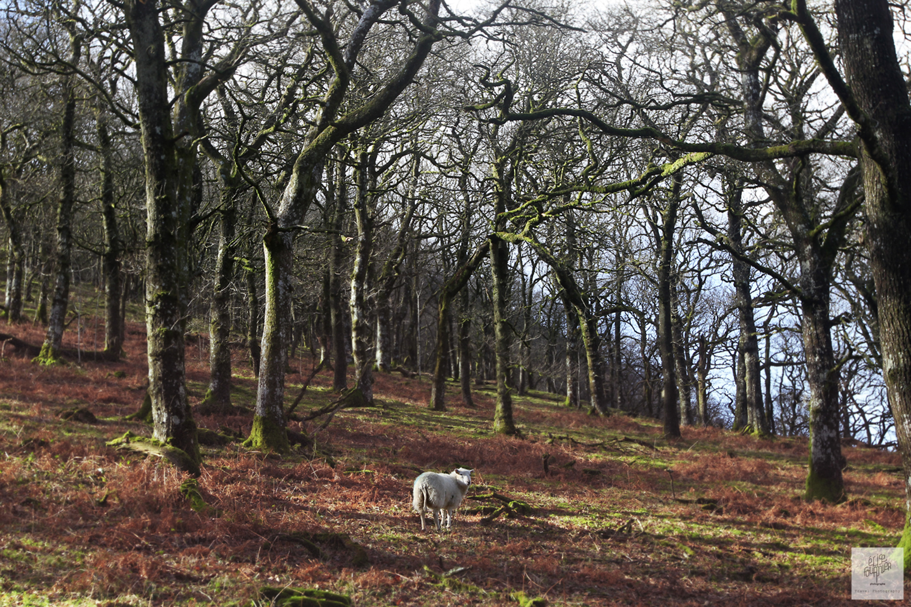 Ligne de vie - reportage photo au Pays de Galles - Brecons Beacons - Elise Fournier Photographe