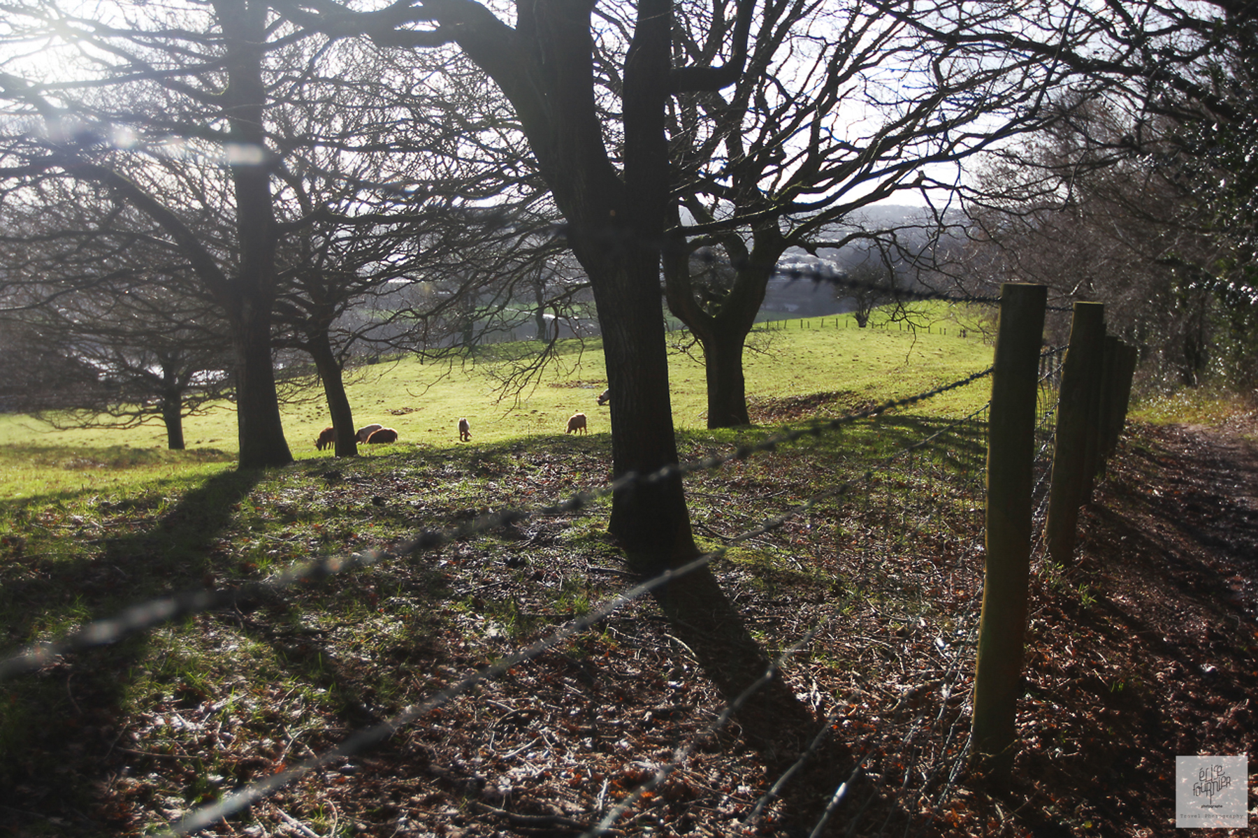 Ligne de vie - reportage photo au Pays de Galles - Brecons Beacons - Elise Fournier Photographe