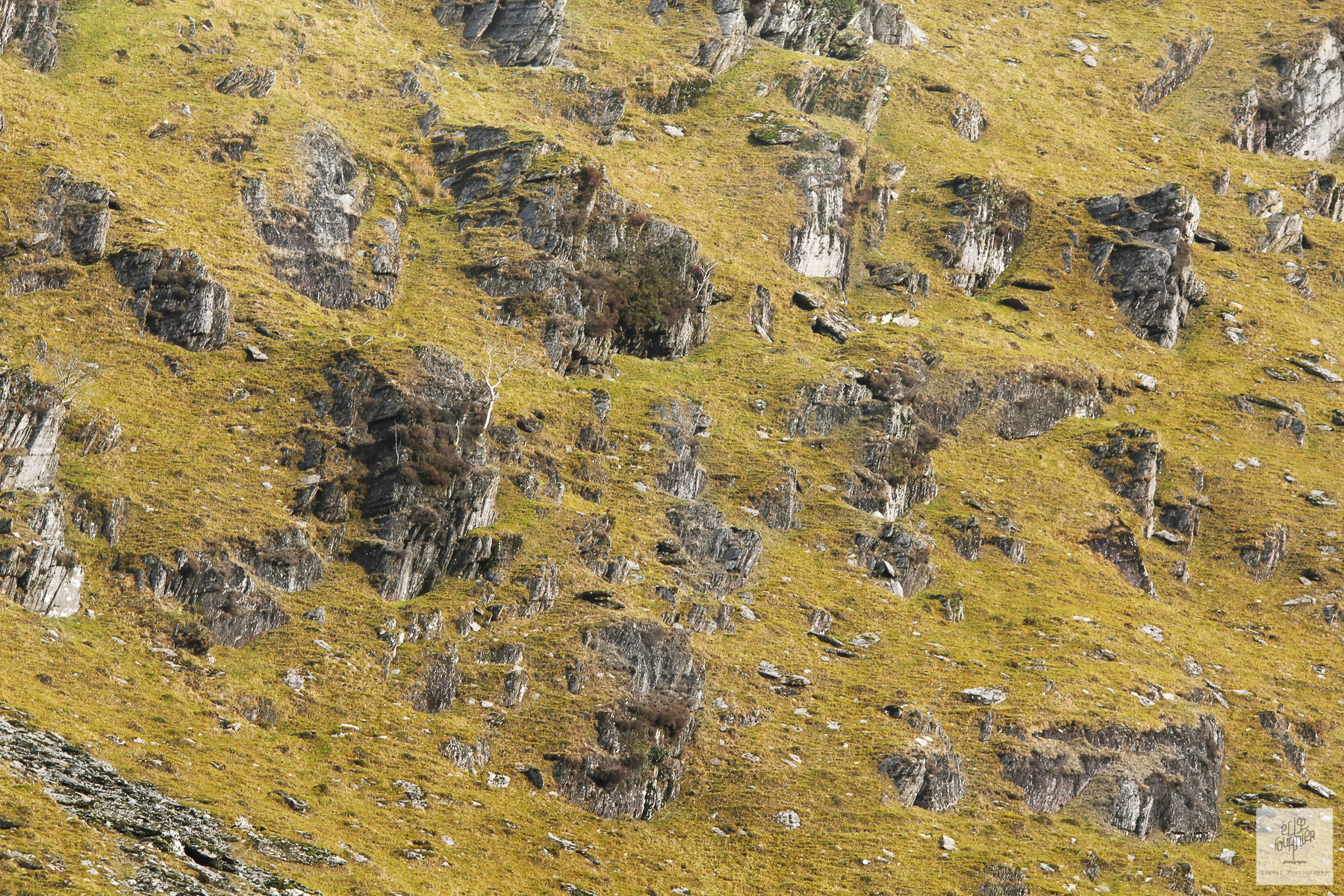 Ligne de vie - reportage photo au Pays de Galles - Brecons Beacons - Elise Fournier Photographe