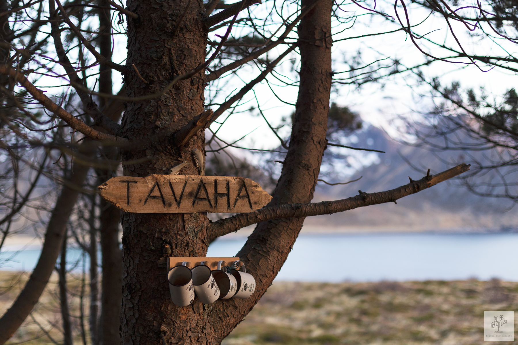 Wild Norway - Photographies de la Norvège par Elise Fournier Photographe