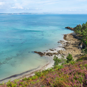 Paysages